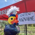4. W�rschnitzthaler Entenrennen - Bild 3 von 50